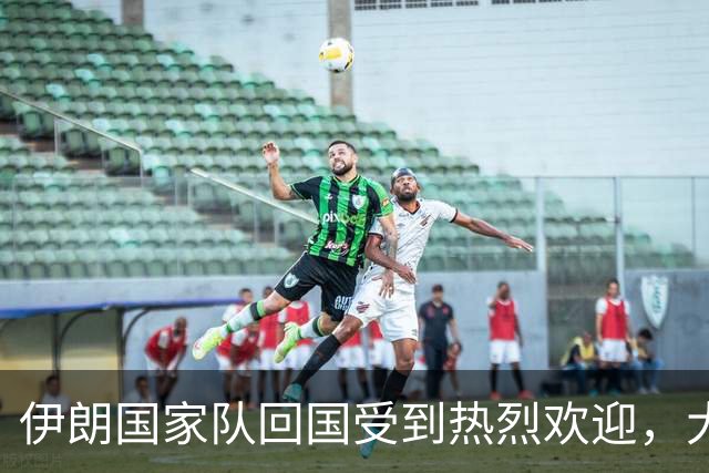 伊朗国家队回国受到热烈欢迎，大批球迷接机